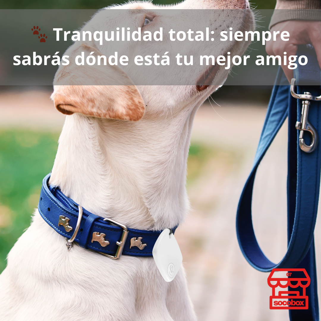 Localizador GPS Rastreador para iPhone/iOS